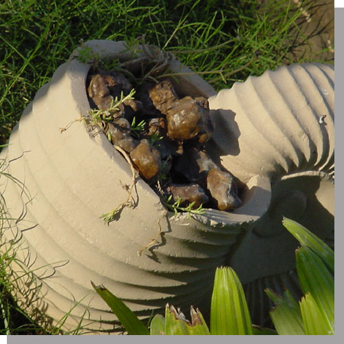 planter1